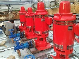 Dự án công ty TC cung cấp hộp điều tốc cho bơm Diesel Wangyang